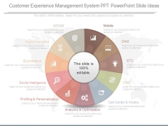 Customer Experience Management System Ppt Powerpoint Slide Ideas Customer Experience Management System Ppt Powerpoint Slide Ideas