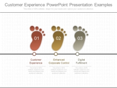 Customer Experience Powerpoint Presentation Examples