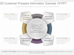 Customer Prospect Information Example Of Ppt Customer Prospect Information Example Of Ppt