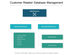 Customer Related Database Management Ppt PowerPoint Presentation Show Example Customer Related Database Management Ppt PowerPoint Presentation Show Example