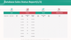Customer Relationship Management Action Plan Database Sales Status Report Icon Information PDF