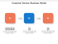 Customer Service Business Model Ppt PowerPoint Presentation Professional Cpb