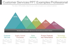 Customer Services Ppt Examples Professional Customer Services Ppt Examples Professional