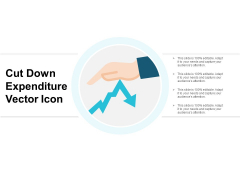 Cut Down Expenditure Vector Icon Ppt PowerPoint Presentation Summary Portfolio Cut Down Expenditure Vector Icon Ppt PowerPoint Presentation Summary Portfolio