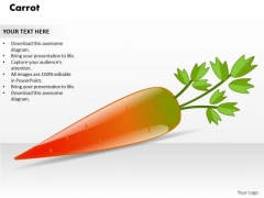Carrot PowerPoint Template PowerPoint Presentation Template Carrot PowerPoint Template PowerPoint Presentation Template