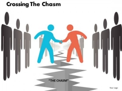 Crossing The Chasm Ppt 12