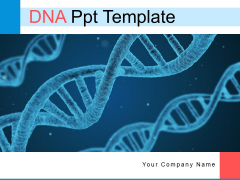 DNA Ppt Template Molecular Structure Puzzle Pieces Ppt PowerPoint Presentation Complete Deck DNA Ppt Template Molecular Structure Puzzle Pieces Ppt PowerPoint Presentation Complete Deck