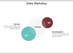 Data Integration Ppt PowerPoint Presentation File Samples Cpb Data Integration Ppt PowerPoint Presentation File Samples Cpb