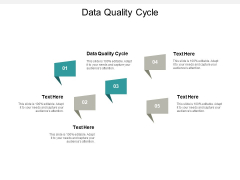 Data Quality Cycle Ppt PowerPoint Presentation Summary Outfit Cpb