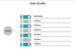 Data Quality Ppt PowerPoint Presentation Deck Cpb