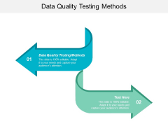Data Quality Testing Methods Ppt PowerPoint Presentation Pictures Mockup Cpb