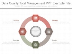 Data Quality Total Management Ppt Example File Data Quality Total Management Ppt Example File