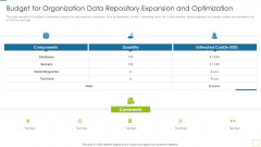 Database Expansion And Optimization Budget For Organization Data Repository Expansion And Optimization Ppt Icon Deck