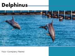 Delphinus Sea Water Ocean Water Ppt PowerPoint Presentation Complete Deck Delphinus Sea Water Ocean Water Ppt PowerPoint Presentation Complete Deck