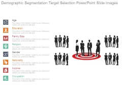 Demographic Segmentation Target Selection Powerpoint Slide Images