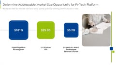 Determine Addressable Market Size Opportunity For Fintech Platform Designs PDF