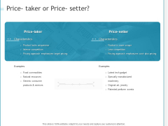 Developing A Right Pricing Strategy For Business Price Taker Or Price Setter Ideas PDF Developing A Right Pricing Strategy For Business Price Taker Or Price Setter Ideas PDF