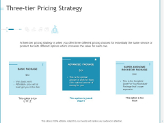 Developing A Right Pricing Strategy For Business Three Tier Pricing Strategy Information PDF Developing A Right Pricing Strategy For Business Three Tier Pricing Strategy Information PDF