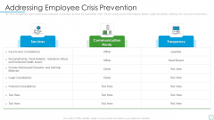 Developing Firm Security Strategy Plan Addressing Employee Crisis Prevention Inspiration PDF