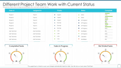Different Project Team Work With Current Status Graphics PDF