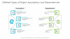 Different Types Of Project Assumptions And Dependencies Ppt Professional Design Inspiration PDF Different Types Of Project Assumptions And Dependencies Ppt Professional Design Inspiration PDF