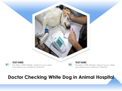 Doctor Checking White Dog In Animal Hospital Ppt PowerPoint Presentation Model Templates PDF Doctor Checking White Dog In Animal Hospital Ppt PowerPoint Presentation Model Templates PDF