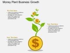 Dollar Growth Money Plant Powerpoint Template Dollar Growth Money Plant Powerpoint Template