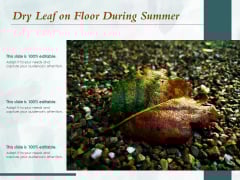 Dry Leaf On Floor During Summer Ppt PowerPoint Presentation Icon Example Introduction PDF Dry Leaf On Floor During Summer Ppt PowerPoint Presentation Icon Example Introduction PDF