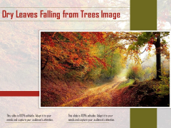 Dry Leaves Falling From Trees Image Ppt PowerPoint Presentation Show Images PDF Dry Leaves Falling From Trees Image Ppt PowerPoint Presentation Show Images PDF