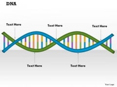 Dna PowerPoint Presentation Template Dna PowerPoint Presentation Template