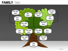 Download Editable Family Tree PowerPoint Templates Download Editable Family Tree PowerPoint Templates