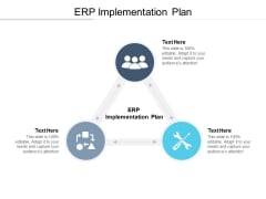 ERP Implementation Plan Ppt PowerPoint Presentation Infographic Template Examples Cpb