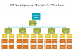ERP Team Deployment Chart With Five Work Areas Ppt PowerPoint Presentation File Samples PDF ERP Team Deployment Chart With Five Work Areas Ppt PowerPoint Presentation File Samples PDF