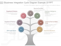 Ebusiness Integration Cycle Diagram Example Of Ppt