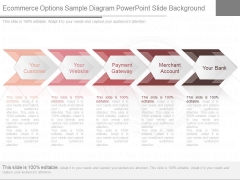 Ecommerce Options Sample Diagram Powerpoint Slide Background