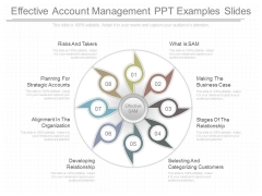 Effective Account Management Ppt Examples Slides Effective Account Management Ppt Examples Slides