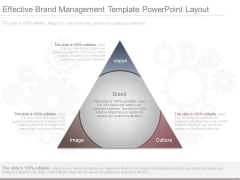Effective Brand Management Template Powerpoint Layout Effective Brand Management Template Powerpoint Layout