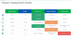Effective IT Risk Management Process Impact Assessment Matrix Sample PDF
