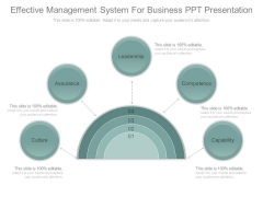 Effective Management System For Business Ppt Presentation Effective Management System For Business Ppt Presentation