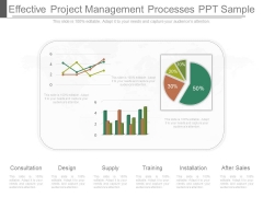 Effective Project Management Processes Ppt Sample