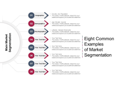 Eight Common Examples Of Market Segmentation Ppt PowerPoint Presentation Layouts Inspiration PDF Eight Common Examples Of Market Segmentation Ppt PowerPoint Presentation Layouts Inspiration PDF