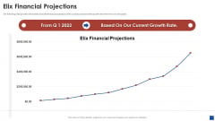 Elix Incubator Venture Capital Funding Elix Financial Projections Background PDF