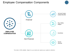 Employee Compensation Components Pay Ppt PowerPoint Presentation Infographic Template Example