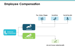Employee Compensation Employee Value Proposition Ppt PowerPoint Presentation Infographics Introduction