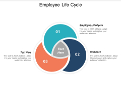 Employee Life Cycle Ppt PowerPoint Presentation Styles Structure Cpb