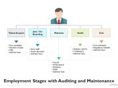 Employment Stages With Auditing And Maintenance Ppt PowerPoint Presentation File Templates PDF Employment Stages With Auditing And Maintenance Ppt PowerPoint Presentation File Templates PDF