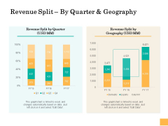 Equity Capital Funding Revenue Split By Quarter And Geography Ppt Show Samples PDF Equity Capital Funding Revenue Split By Quarter And Geography Ppt Show Samples PDF