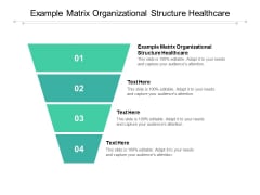 Example Matrix Organizational Structure Healthcare Ppt PowerPoint Presentation Pictures Designs Download Cpb Pdf Example Matrix Organizational Structure Healthcare Ppt PowerPoint Presentation Pictures Designs Download Cpb Pdf