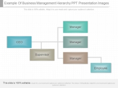 Example Of Business Management Hierarchy Ppt Presentation Images Example Of Business Management Hierarchy Ppt Presentation Images