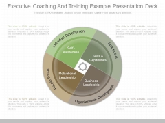 Executive Coaching And Training Example Presentation Deck
